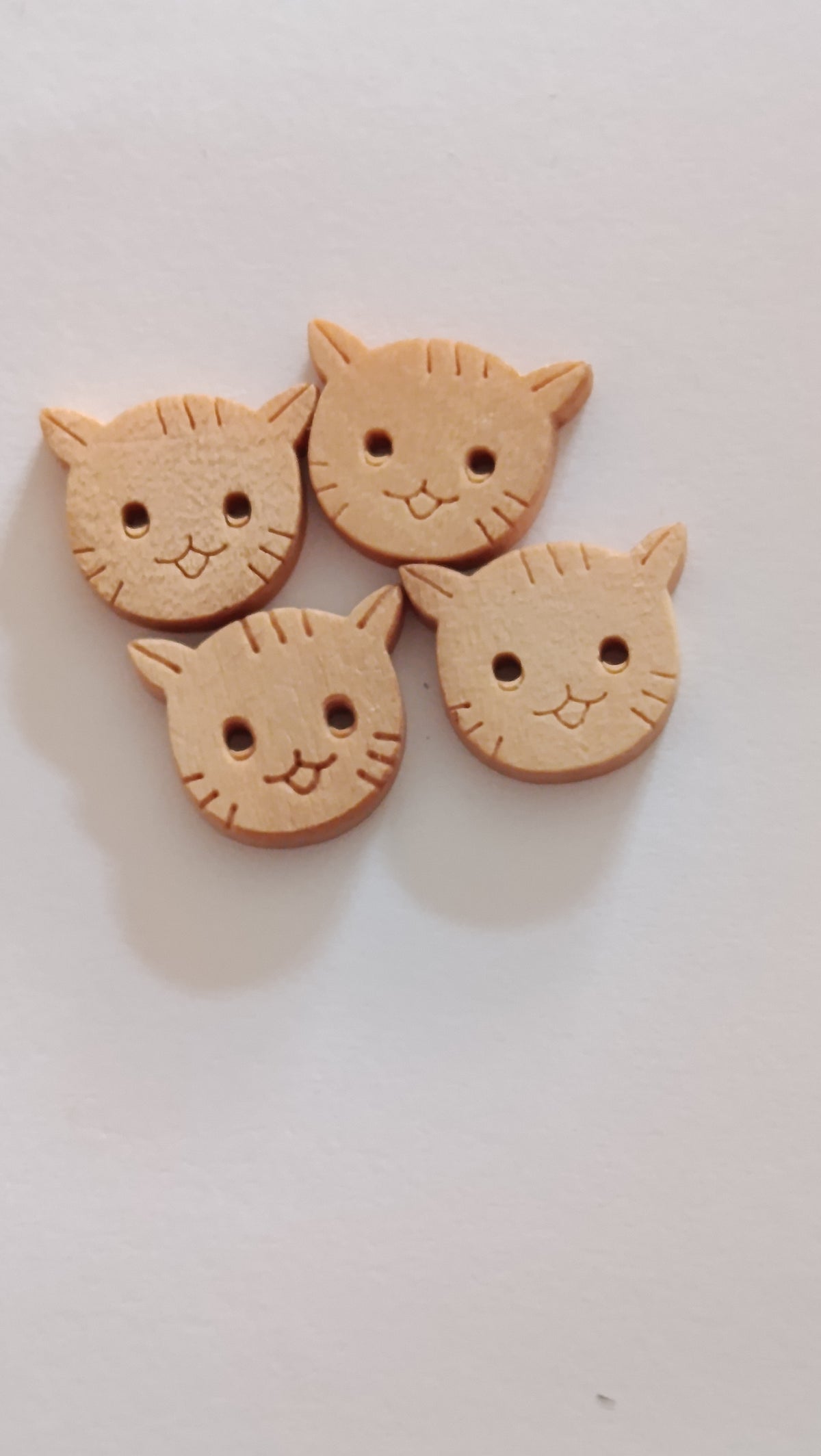 Botões gatos